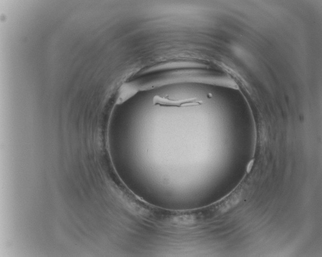 X0000073730353200608101935