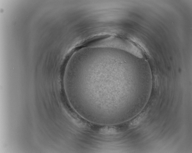 X0000073730354200608101935