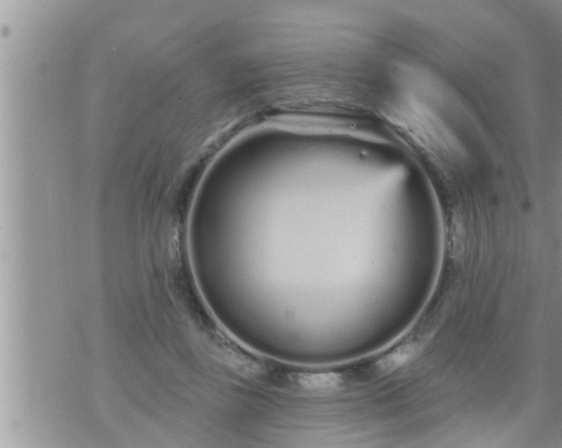 X0000073730355200608101935