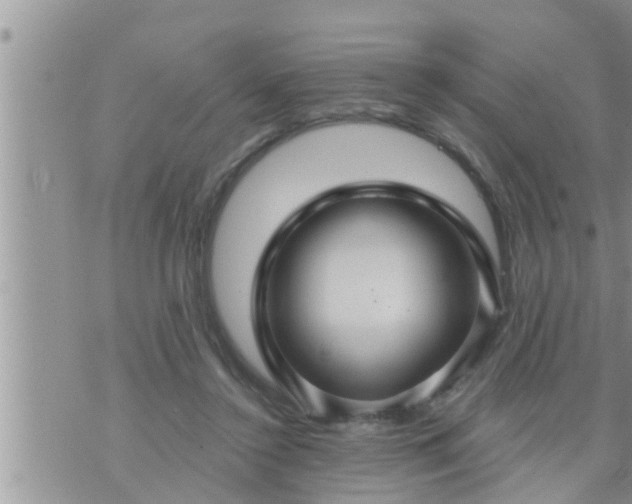 X0000073730356200608101935