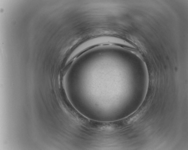 X0000073730358200608101935