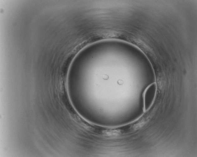 X0000073730359200608101935