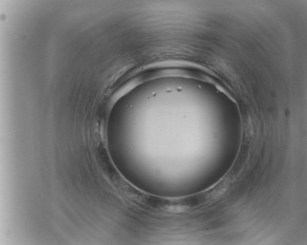 X0000073730360200608101935