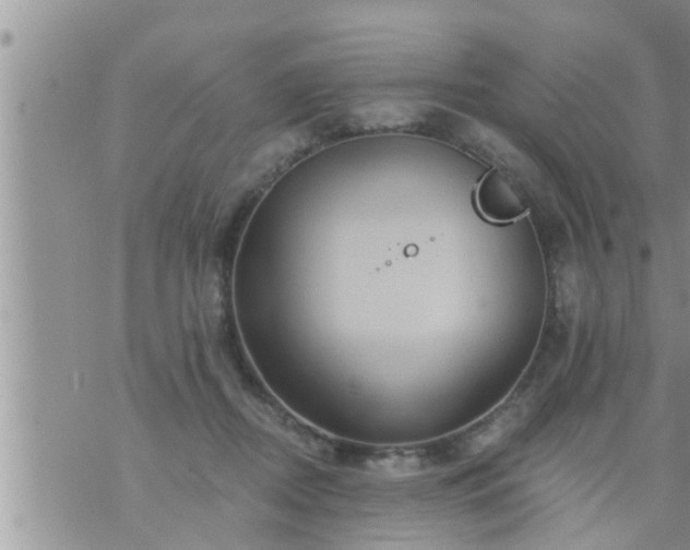 X0000073730362200608101935