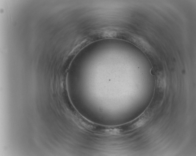 X0000073730363200608101935