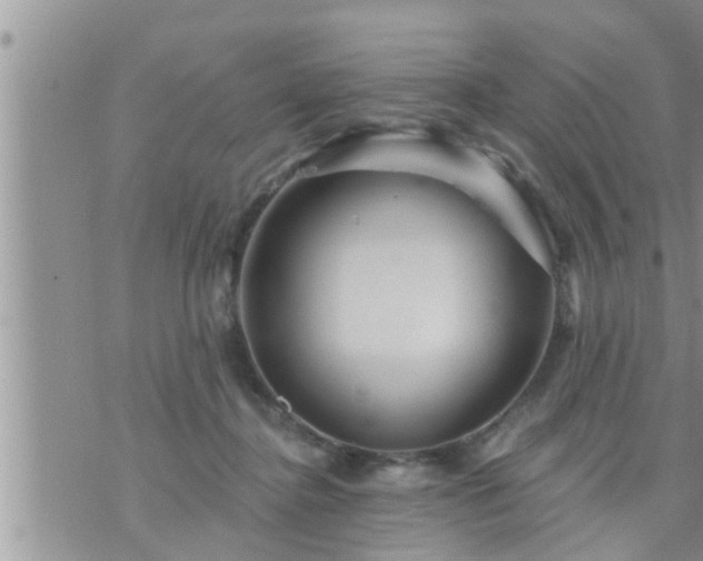 X0000073730364200608101935