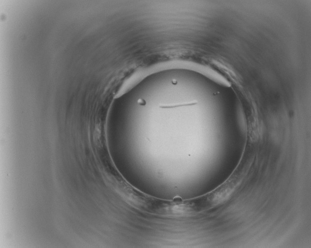 X0000073730365200608101936