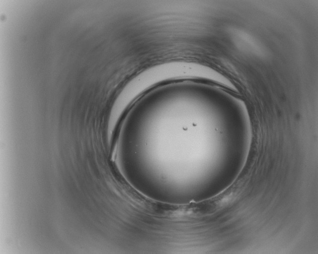 X0000073730366200608101936