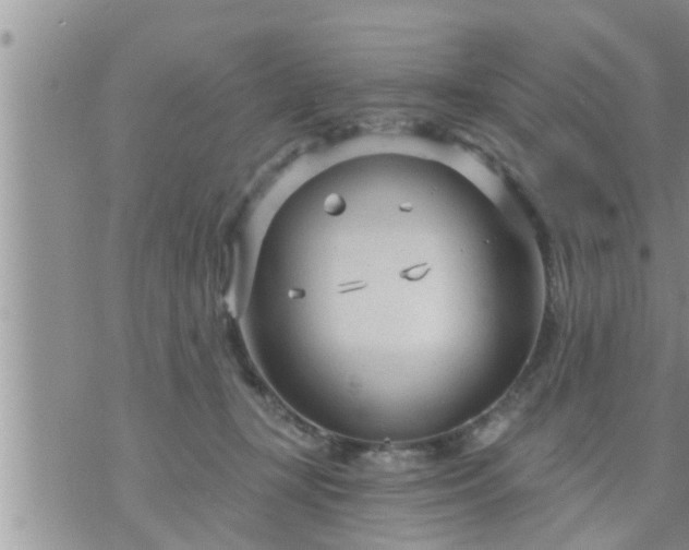 X0000073730367200608101936