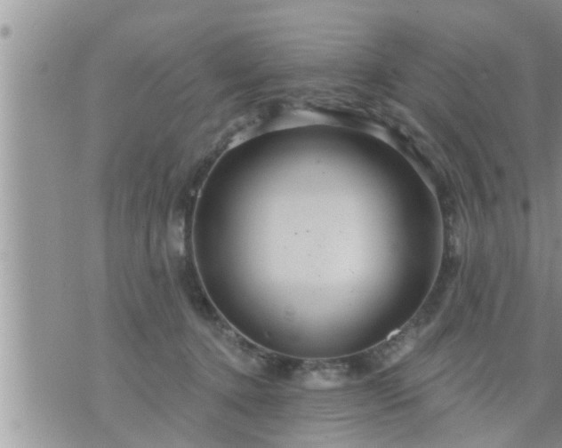 X0000073730368200608101936