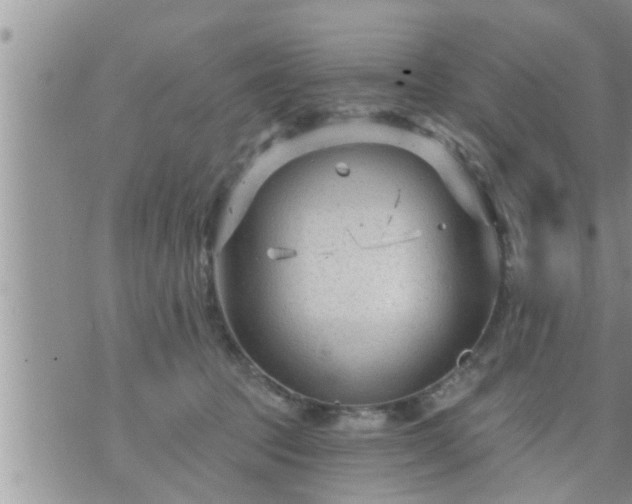 X0000073730369200608101936