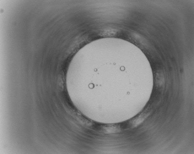 X0000073730370200608101936