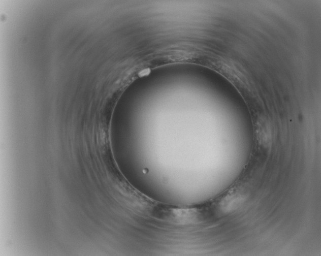 X0000073730371200608101936