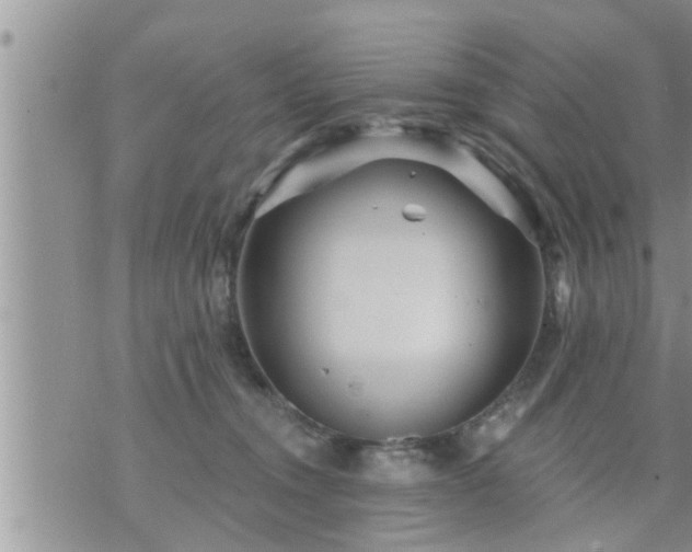 X0000073730372200608101936