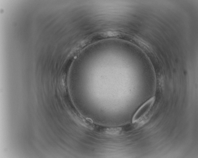 X0000073730373200608101936