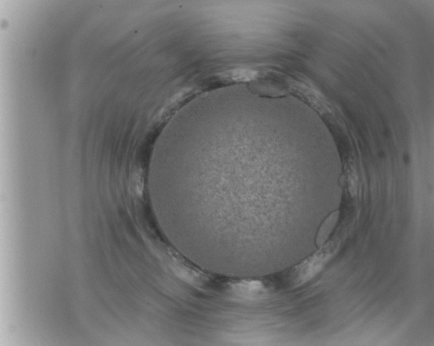 X0000073730374200608101936