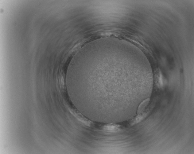 X0000073730375200608101936