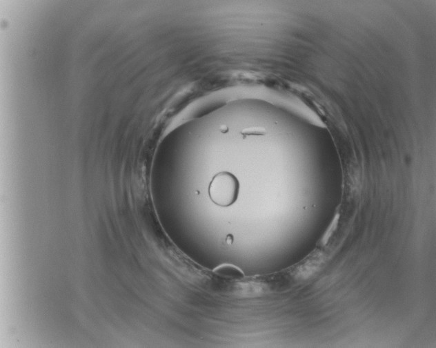 X0000073730376200608101936