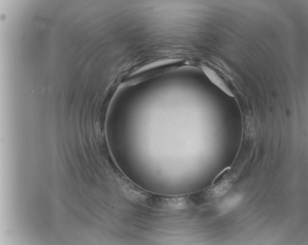 X0000073730377200608101936