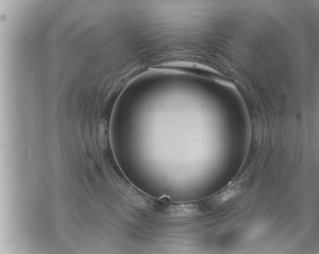 X0000073730378200608101936