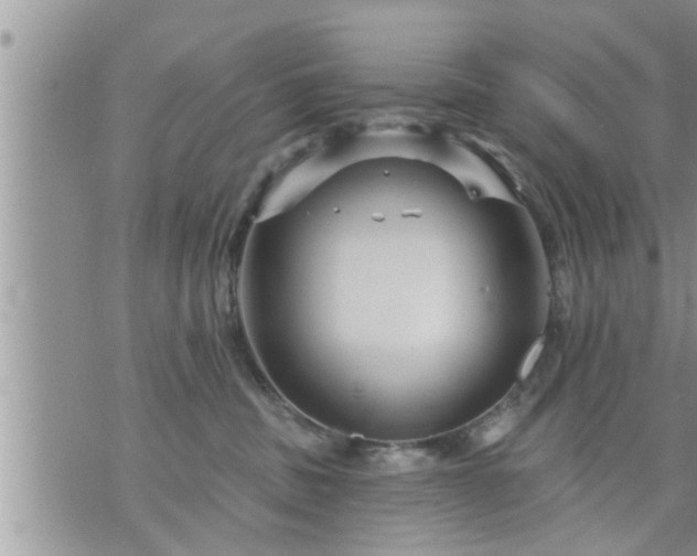 X0000073730379200608101936