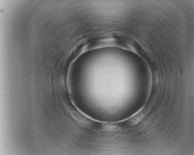 X0000073730380200608101936