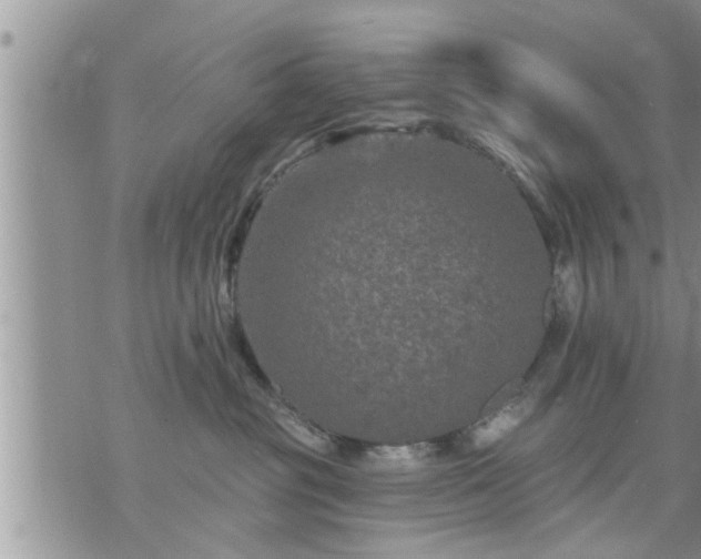 X0000073730381200608101936