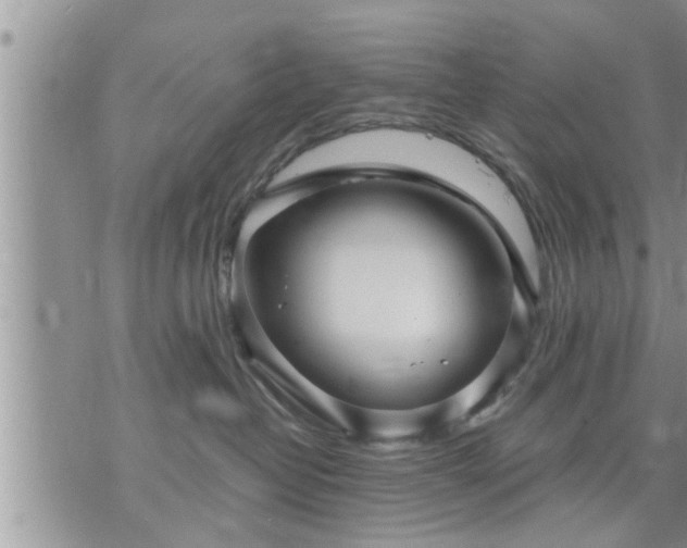 X0000073730382200608101936