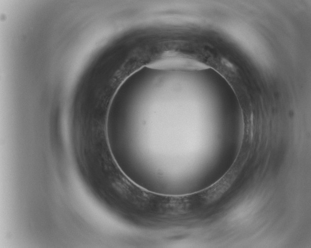 X0000073730383200608101936