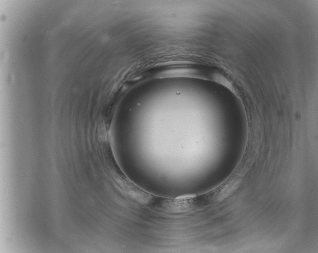 X0000073730384200608101936