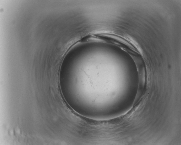 X0000073730385200608101935