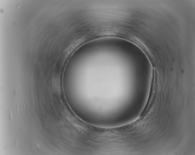 X0000073730386200608101935