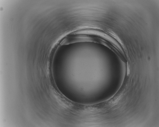 X0000073730387200608101935