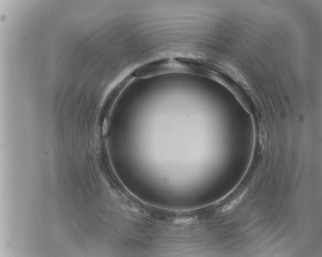 X0000073730388200608101935