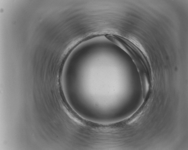 X0000073730389200608101935