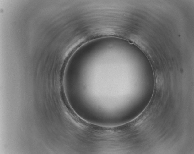 X0000073730390200608101935