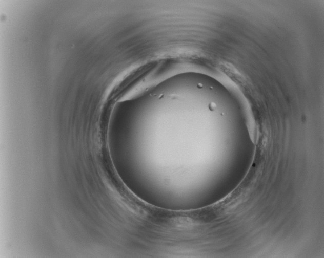 X0000073730392200608101935