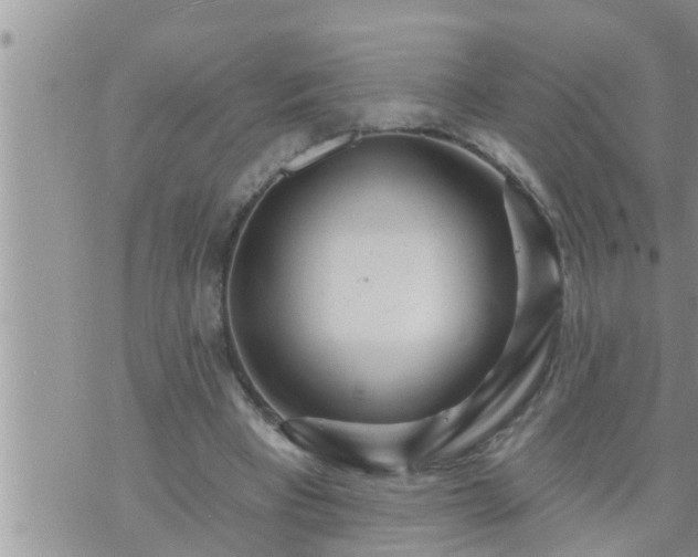 X0000073730393200608101935