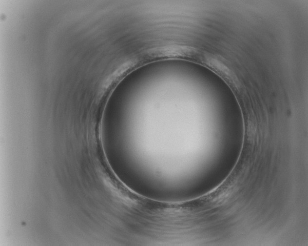 X0000073730394200608101935