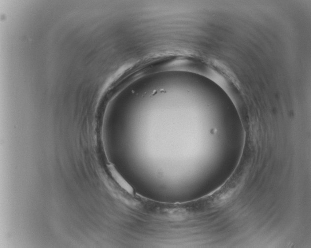 X0000073730395200608101935