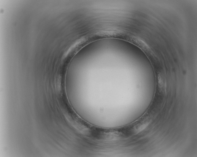 X0000073730396200608101935