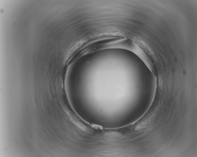 X0000073730397200608101935