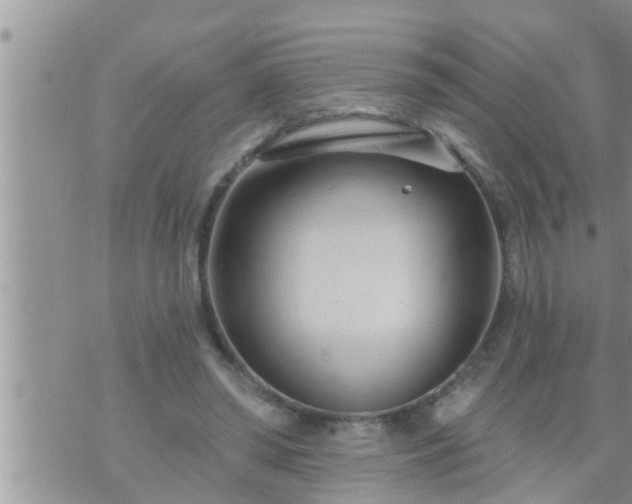 X0000073730398200608101935