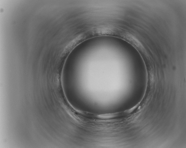 X0000073730401200608101935