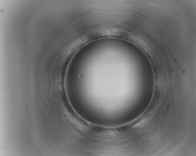 X0000073730402200608101935