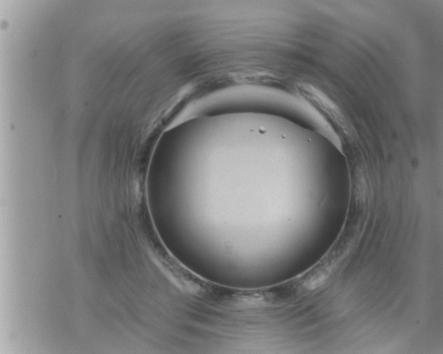 X0000073730405200608101935