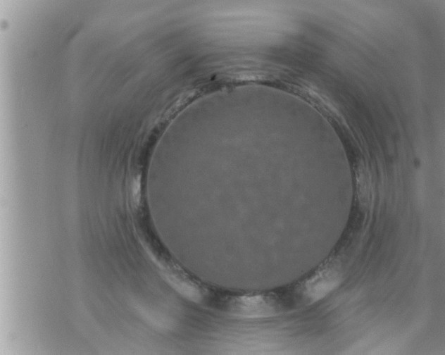 X0000073730406200608101935