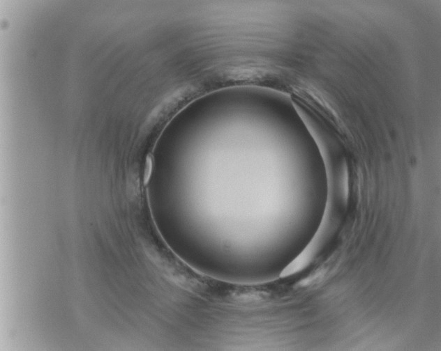 X0000073730407200608101935