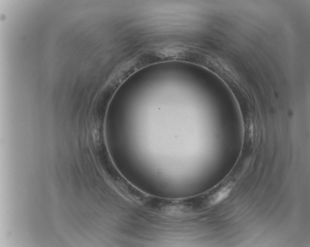 X0000073730408200608101935