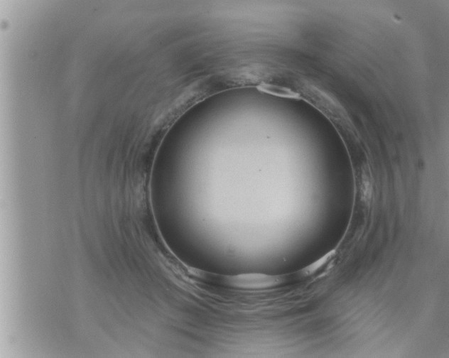 X0000073730409200608101935